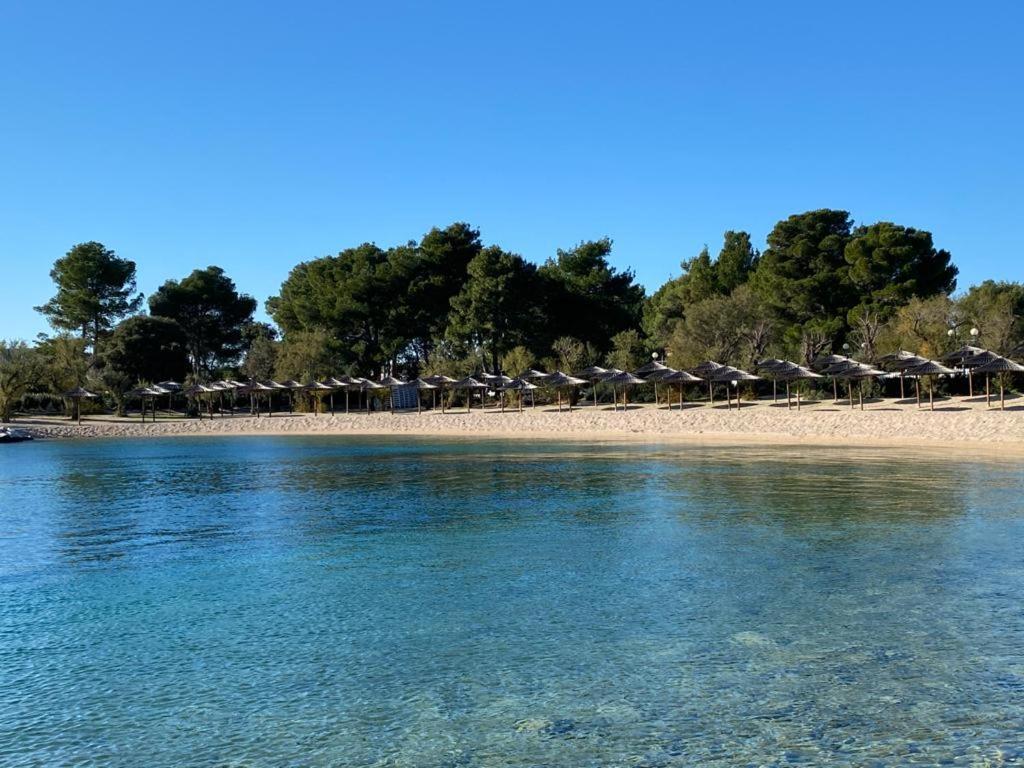 Plavi Biser